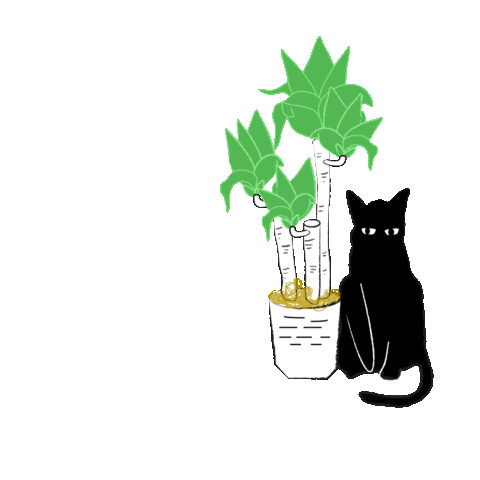 courtneypure giphyupload cat tree plants Sticker