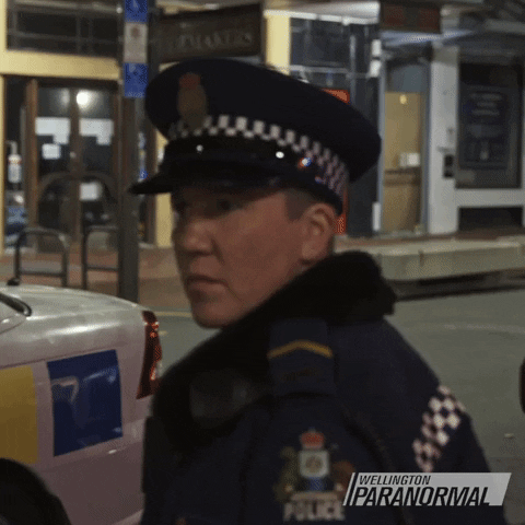 Wait What Reaction GIF by Wellington Paranormal