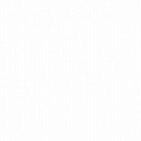 thesocherteam sosurewithsocher thesocherteam GIF
