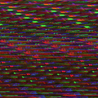glitch art GIF by LetsGlitchIt