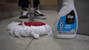 wapoficial  GIF