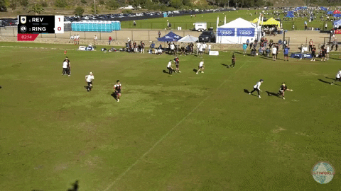 flikulti ultimate frisbee flik GIF