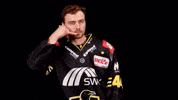 Hockey Del2 GIF by Krefeld Pinguine