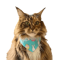 Celebrating Happy Birthday Sticker