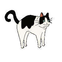 Stretch Sticker