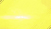 Beach Volleyball Wow GIF by Volleyball World