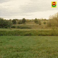 compo garden garten compo GIF