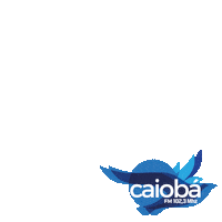 caiobafm ahoradorango caiobafm nãodigalodigacaioba ligaesucesso Sticker