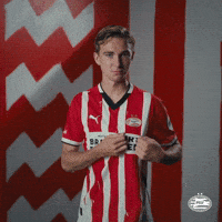 Land Eindhoven GIF by PSV