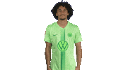 France Football Sticker by VfL Wolfsburg