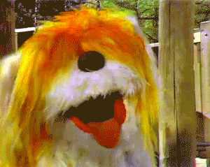 muppetwiki giphyupload dog tongue sesame street GIF