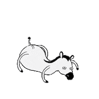 Locupanye dance fly horse walk Sticker