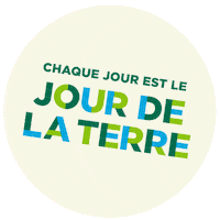 Go Green Village Des Valeurs Sticker by Savers/ValueVillage