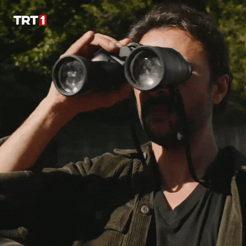 Trt GIF by WASS Medya