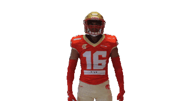 LesArgonautes celebration nfl touchdown gameday Sticker