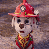Shocked Nickelodeon GIF by Paw Patrol Movies