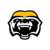 Basketball Nba Sticker by Brampton Honey Badgers