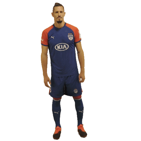 Heroisl Bengalurufc Sticker by Indian Super League