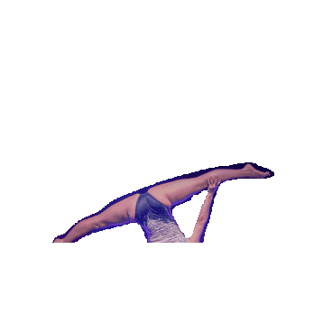 Handstand Sticker by Dinner for fun