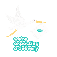 Baby Delivery Sticker by edamama
