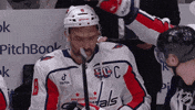 Happy Washington Capitals GIF by NHL