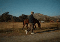 Ditto GIF by Aries