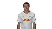 rb leipzig Sticker by Bundesliga