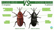GIF by Equitec Uruguay