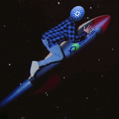 Rocket Ada GIF by stake.fish