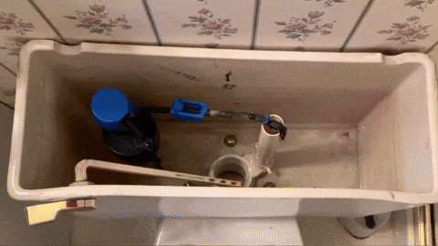 asmresseio giphyupload GIF