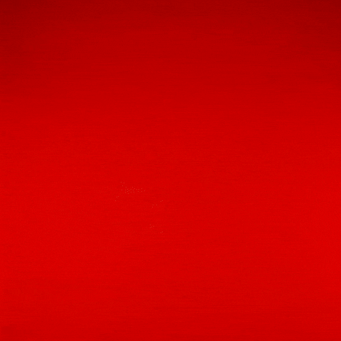 Chapman Lewis GIF by Texas Tech Football