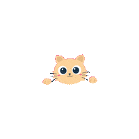 elistorycriativo cat gatinho elistorycriativo gatinho Sticker