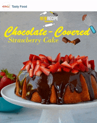 chocolate cake GIF by Gifs Lab