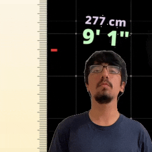 9' 1"