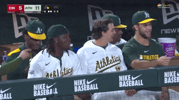 Sport Laugh GIF by MLB