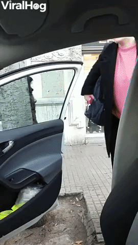 Woman With Troll Hair Struggles to Get into Car