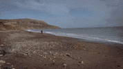 Dog Water GIF by Rhiannon Giddens