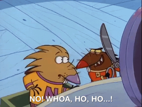 nickrewind giphydvr nicksplat angry beavers giphyab015 GIF