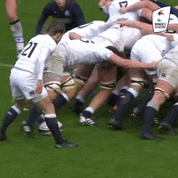 England Rugby GIF by Women's Six Nations