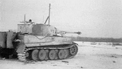 Germany Tiger GIF