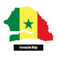 Flag Bandera Sticker by Formación Ninja