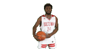 Hoops Sticker by Ooltewah Owls