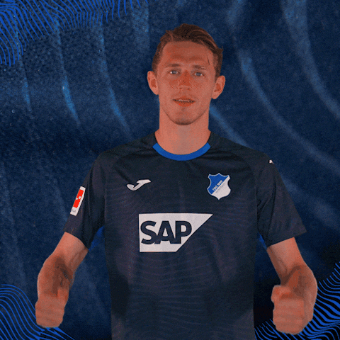 Sport Bundesliga GIF by TSG Hoffenheim
