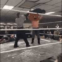 Body Slam Buy The Dip GIF by Bobo Memes