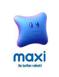 maxi ok Sticker by Maximum Kart