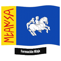 Flag Spain Sticker by Formación Ninja