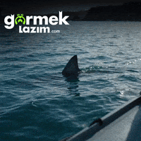 Shark Week Ocean GIF by Görmek Lazım