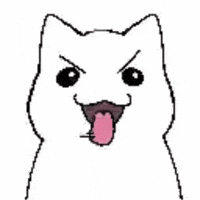 Cat Kitty GIF