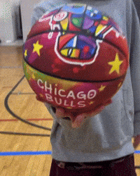 Chicago Bulls GIF