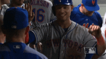 conforto GIF by MLB